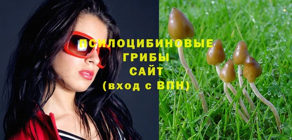 COCAINE Белокуриха