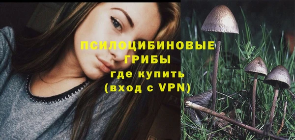 а пвп мука Беломорск