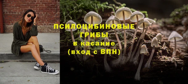 дмт Белоозёрский