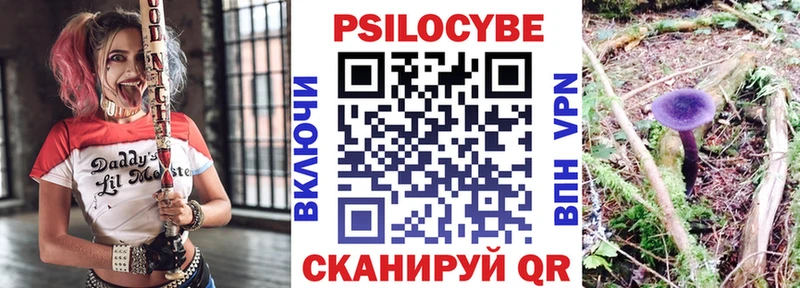 Псилоцибиновые грибы Cubensis  Кузнецк 